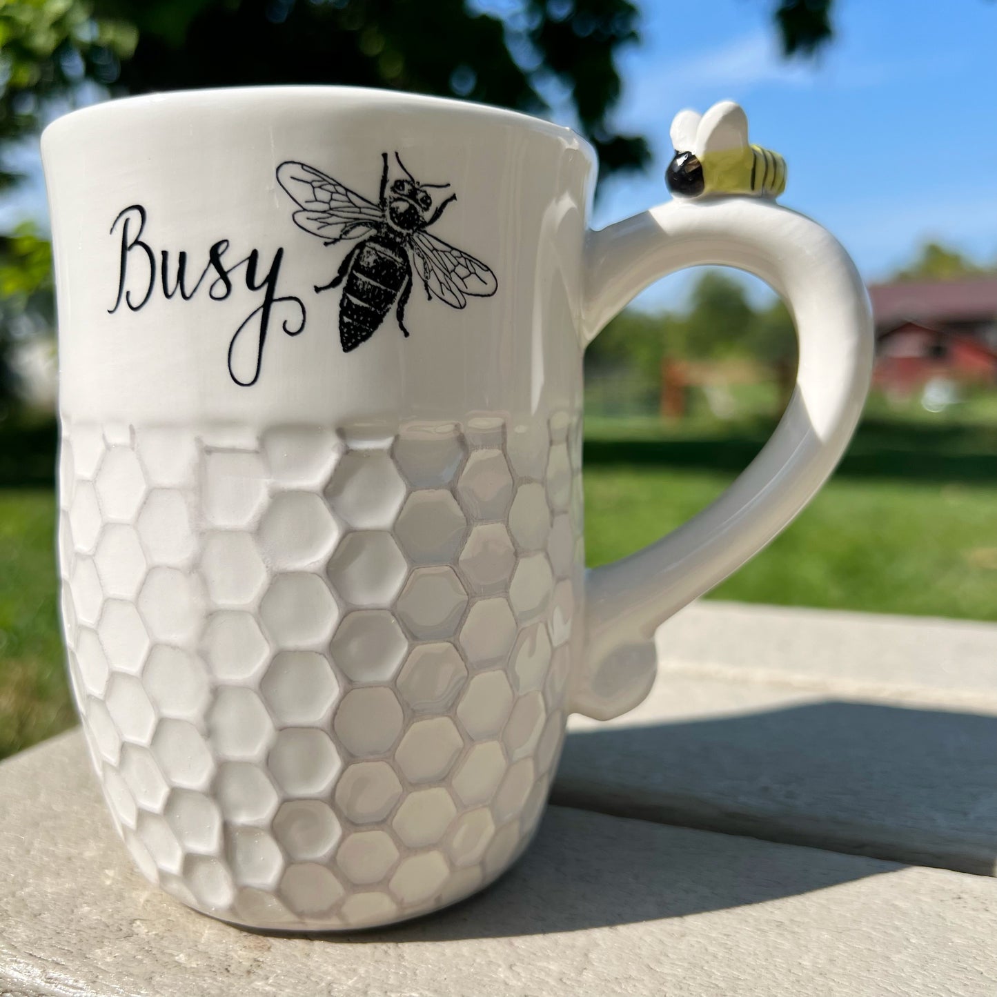 Concord Bee Co. Variety Mugs