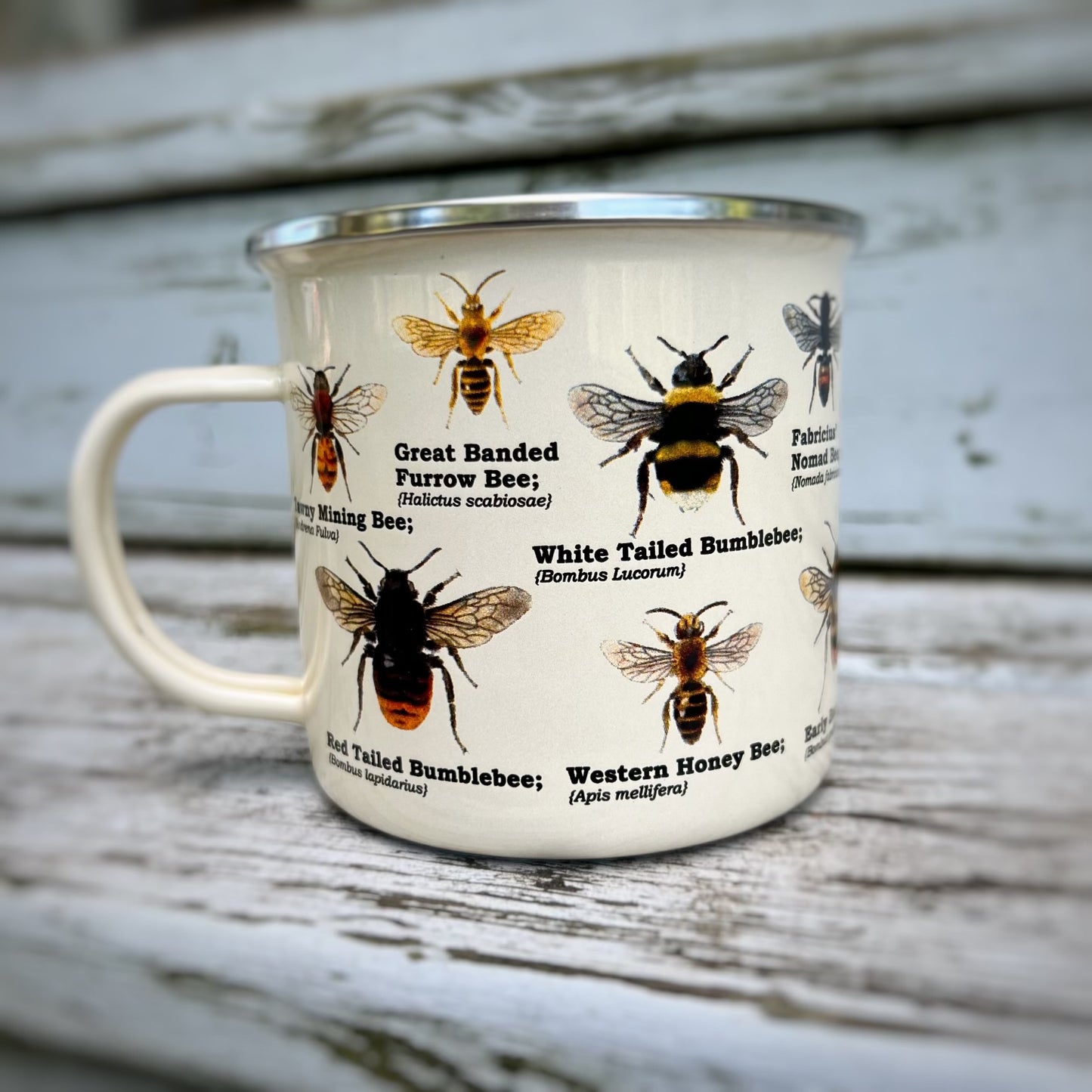 Concord Bee Co. Variety Mugs